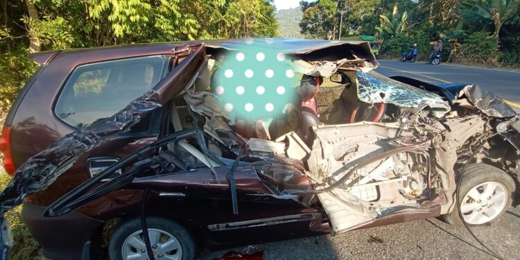 Kecelakaan Maut di Puncak Tumuyu, Truk Hino Vs Avanza Renggut Satu Nyawa