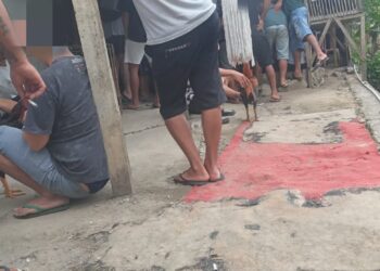 Beredar Foto Kegiatan Judi Sabung Ayam di Modayag, Kapolsek : Kami Akan Tindaklanjuti