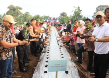 Asripan Nani Canangkan Gerakan Tanam Cabai ASN Pemkot Kotamobagu