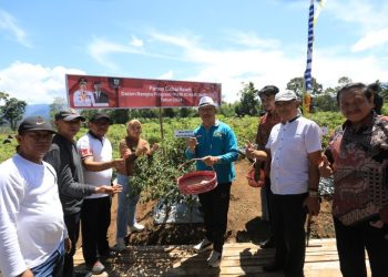 Pj Wali Kota Kotamobagu Pimpin Panen Cabai Rawit Program “Mari Jo Ba Kobong”