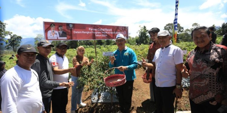 Pj Wali Kota Kotamobagu Pimpin Panen Cabai Rawit Program “Mari Jo Ba Kobong”