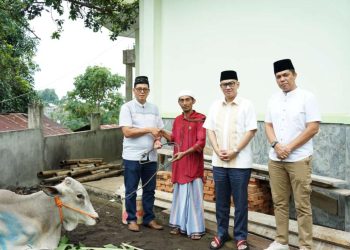 Idul Adha 1445 H: Kakanwil Kemenkumham Sulut Bagikan Sapi Kurban untuk Masjid di Bunaken dan Malalayang