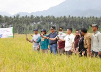 Pj Walikota Kotamobagu Pantau Ketersediaan Produksi Pangan