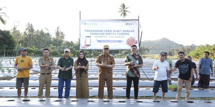 Pj Wali Kota Kotamobagu Lakukan Penanaman Cabai Rawit dengan Teknologi Digital Farming