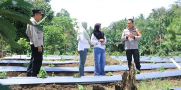 Bentuk Dukungan, Kapolres Kotamobagu Tinjau Pilot Project Ketahanan Pangan Milik Sangadi di Desa Bulut