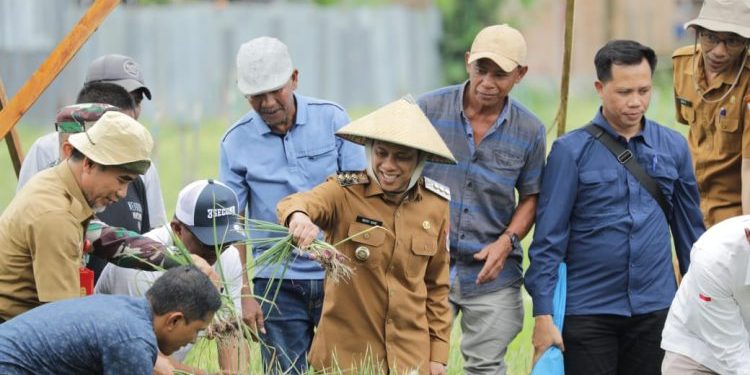 Walikota Kotamobagu Hadiri Panen Raya Bawang Merah di Pobundayan